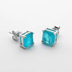 December Birthstone Gemstone Earrings Ladies Fine Jewelry