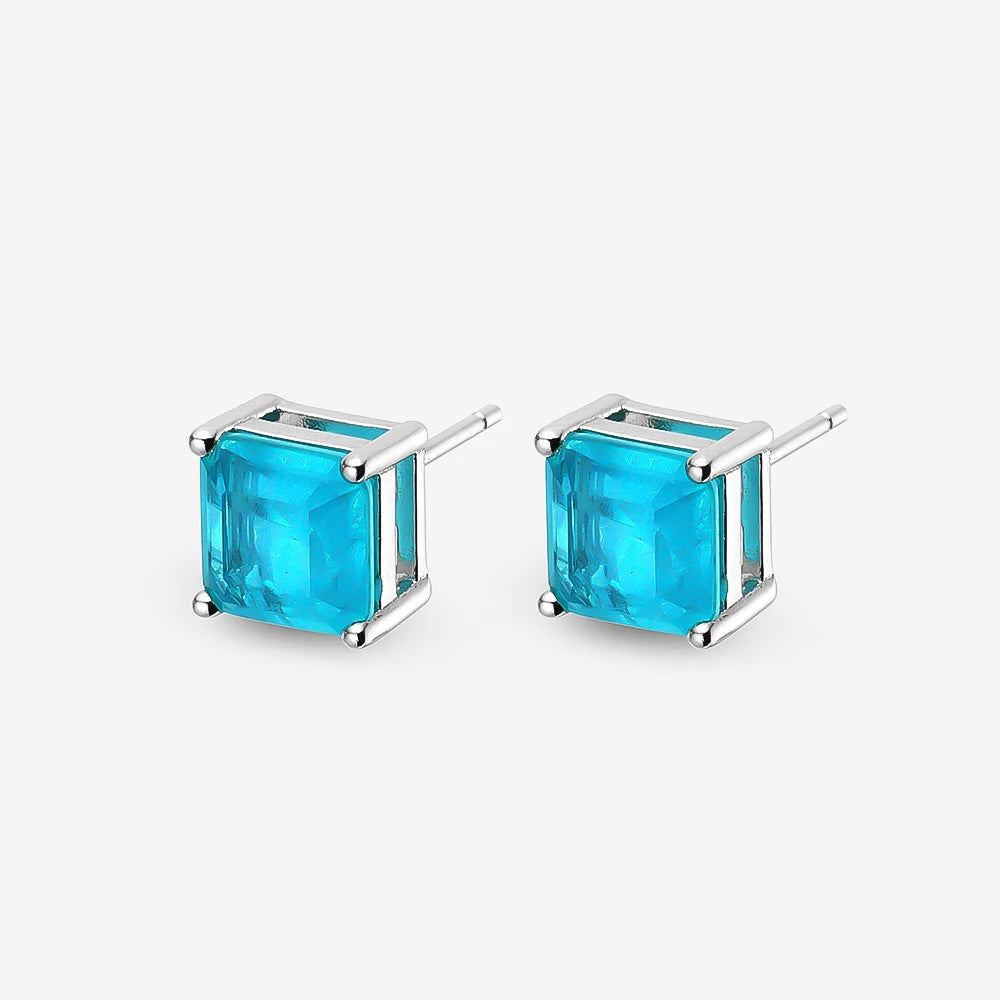 December Birthstone Gemstone Earrings Ladies Fine Jewelry