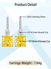 Diamond Earrings 925 silver for women high end luxury jewelry